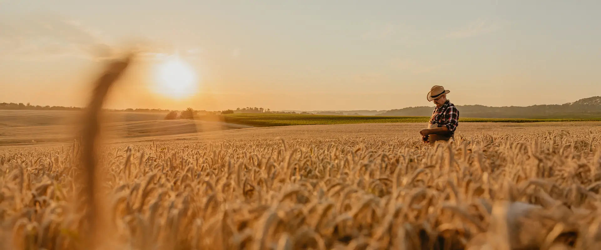 Agro